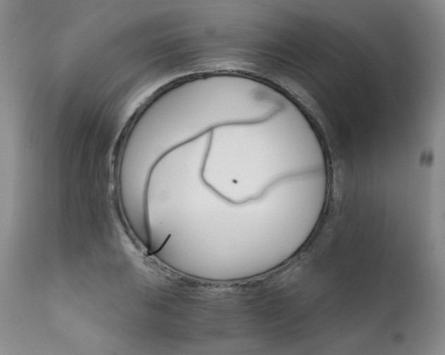 X0000111931031200907271308