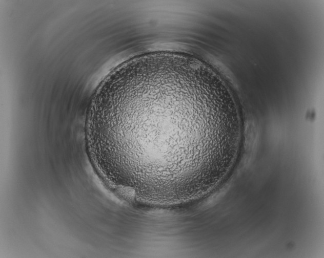 X0000111931033200907271308