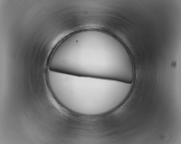 X0000111931034200907271308