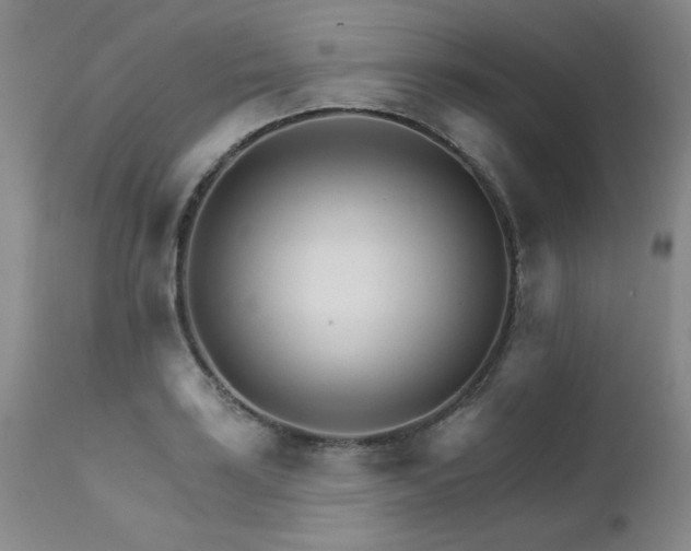 X0000111931035200907271308