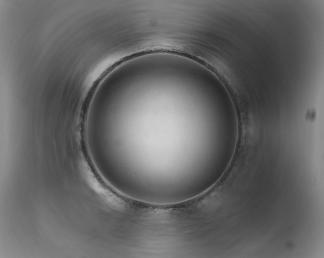 X0000111931038200907271308