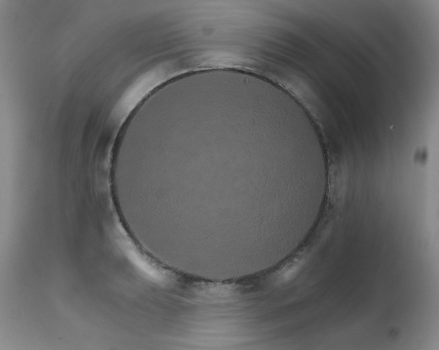 X0000111931039200907271308