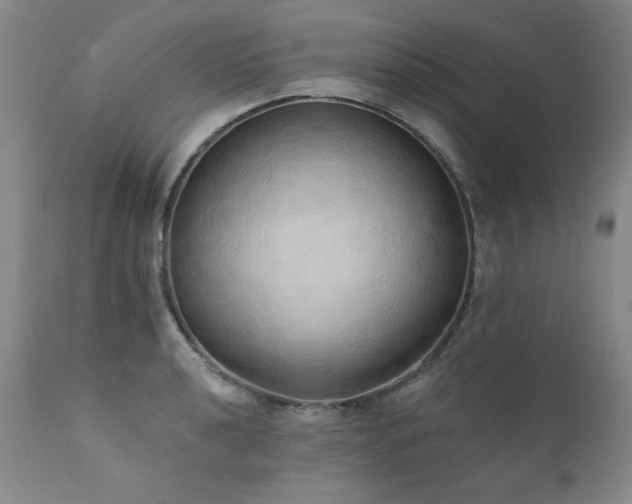 X0000111931040200907271308