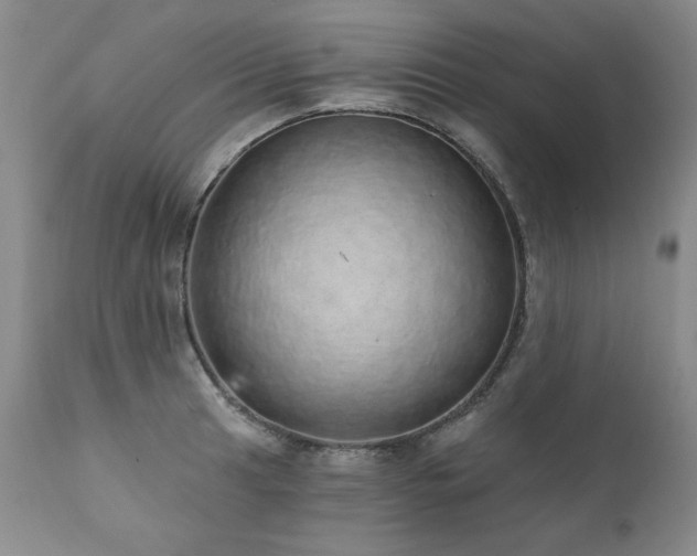 X0000111931041200907271308