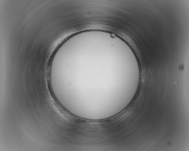 X0000111931043200907271308