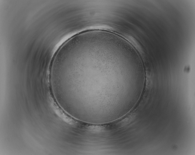 X0000111931044200907271308