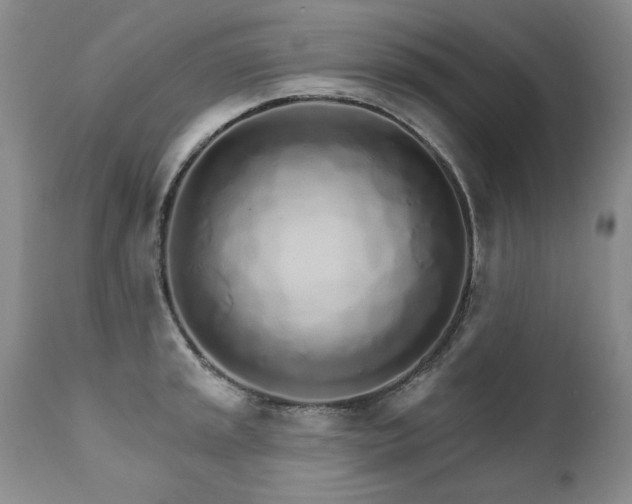 X0000111931045200907271308
