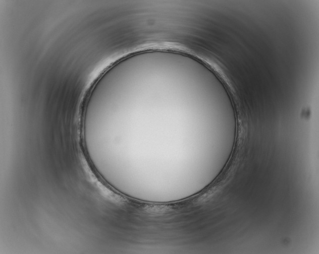 X0000111931046200907271308