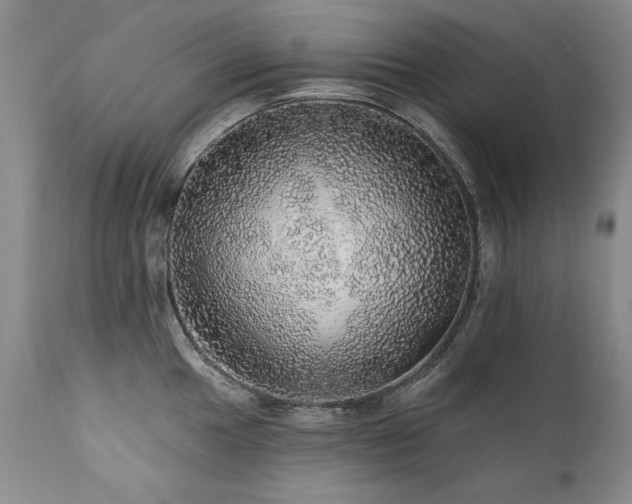 X0000111931049200907271308