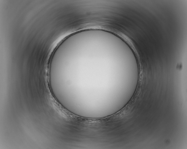 X0000111931051200907271308