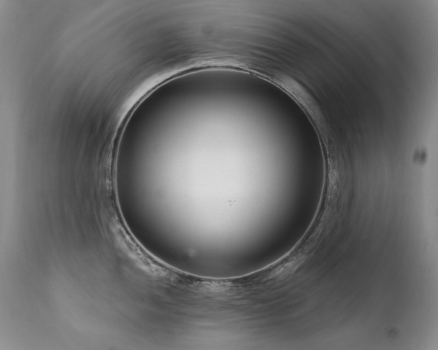 X0000111931052200907271308