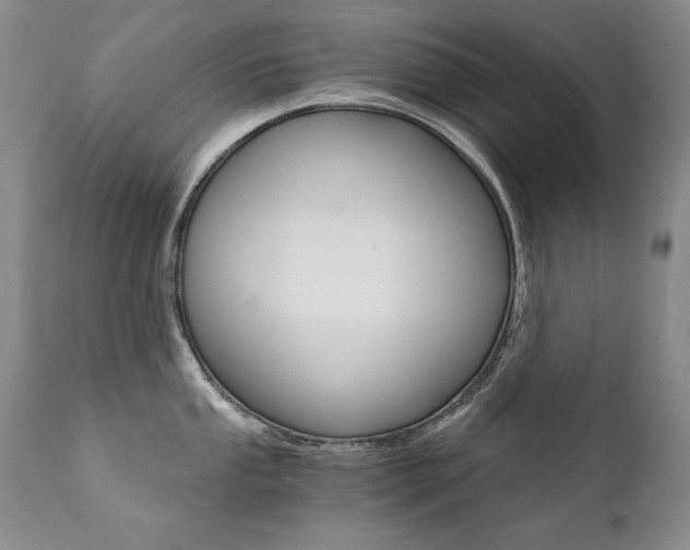 X0000111931053200907271308
