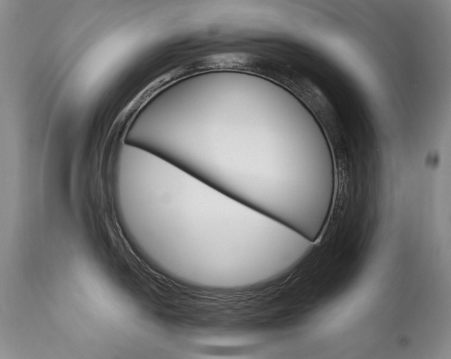 X0000111931054200907271308