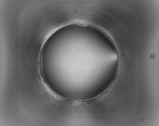 X0000111931056200907271308