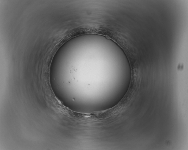 X0000111931057200907271308