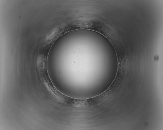 X0000111931058200907271308