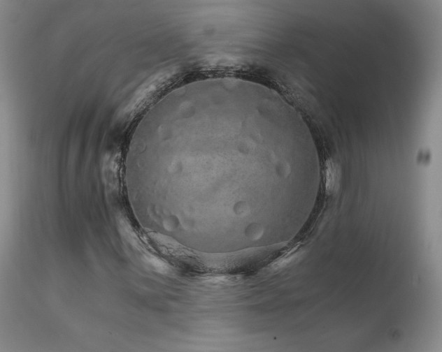 X0000111931059200907271308