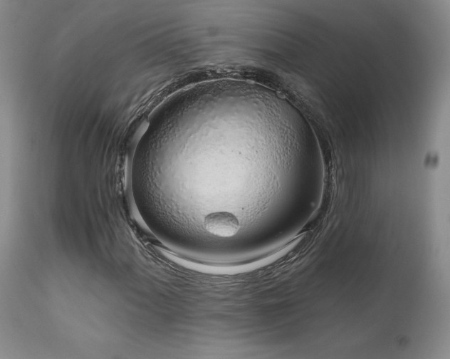 X0000111931060200907271308