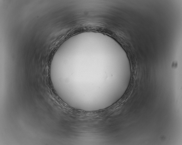 X0000111931061200907271308