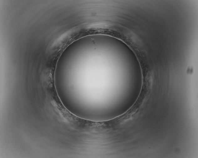 X0000111931062200907271308