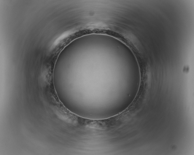 X0000111931063200907271308