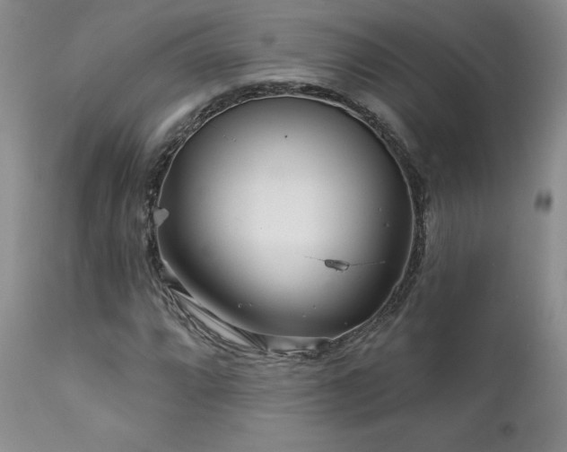 X0000111931064200907271308