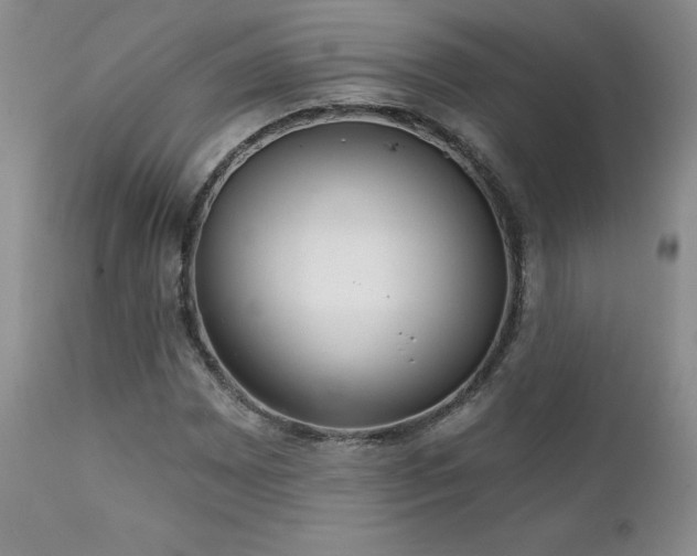 X0000111931065200907271308