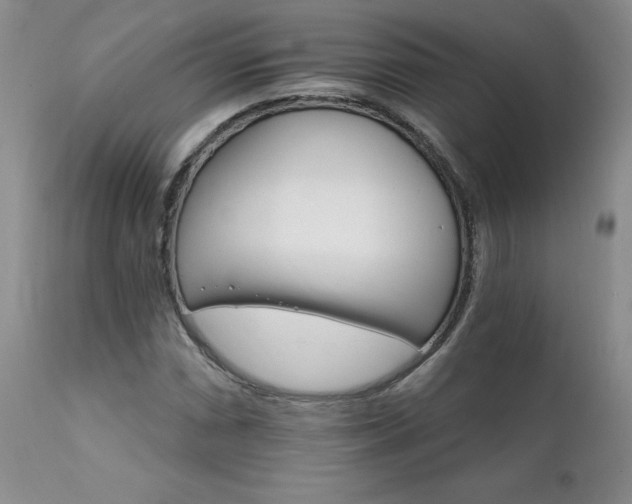 X0000111931066200907271308