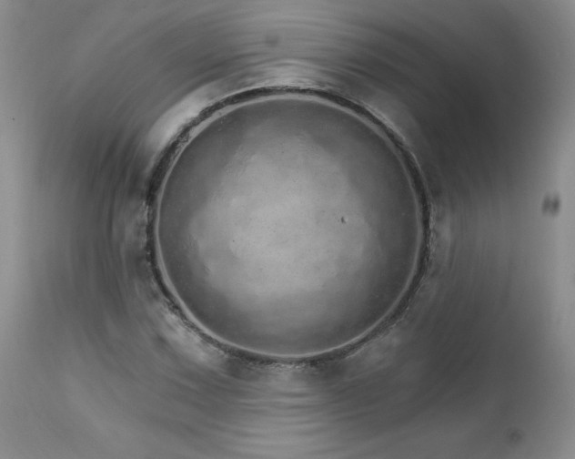 X0000111931067200907271308