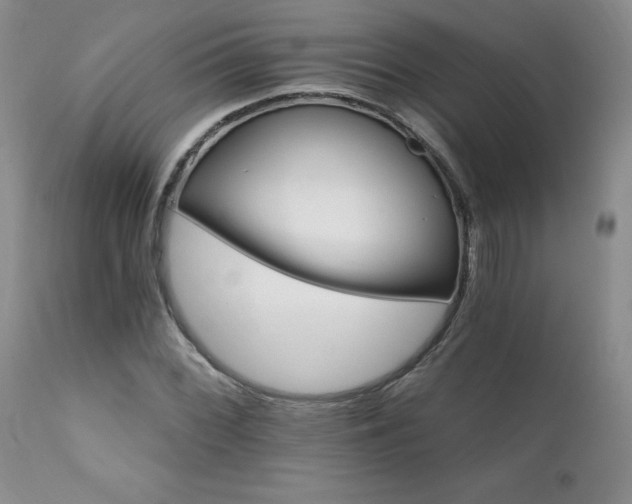 X0000111931068200907271308