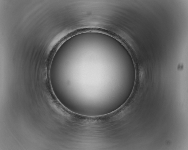 X0000111931069200907271308