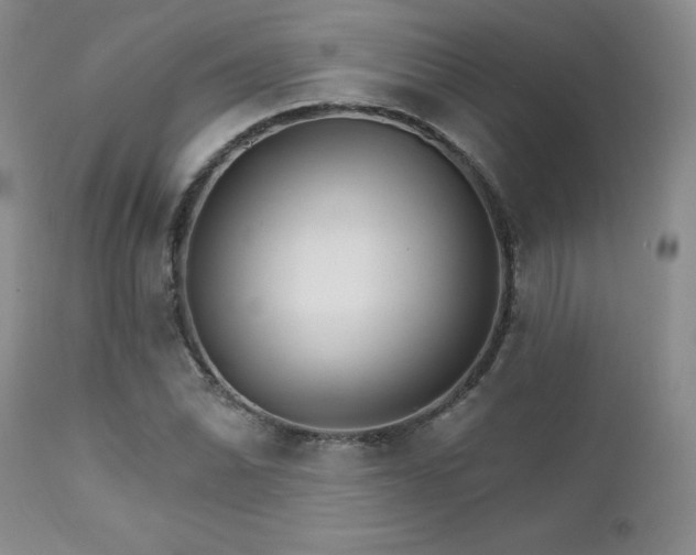 X0000111931070200907271308