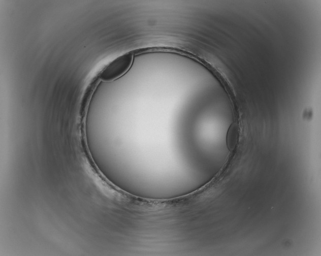 X0000111931072200907271308