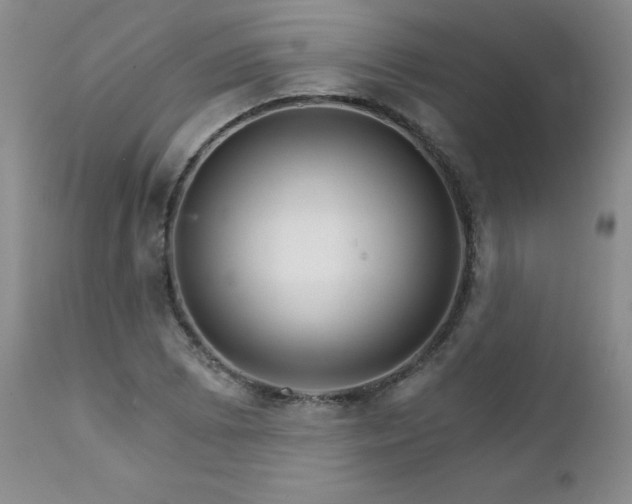 X0000111931073200907271308