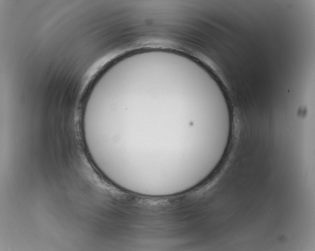 X0000111931074200907271307