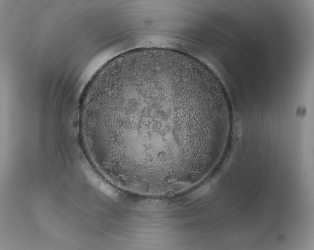 X0000111931075200907271307