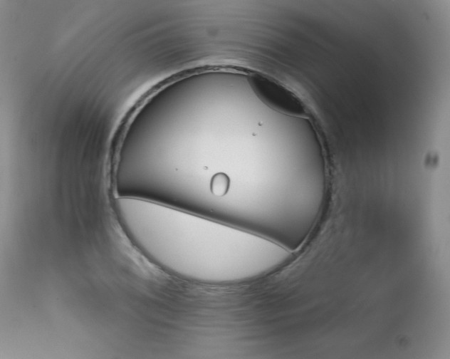 X0000111931076200907271307