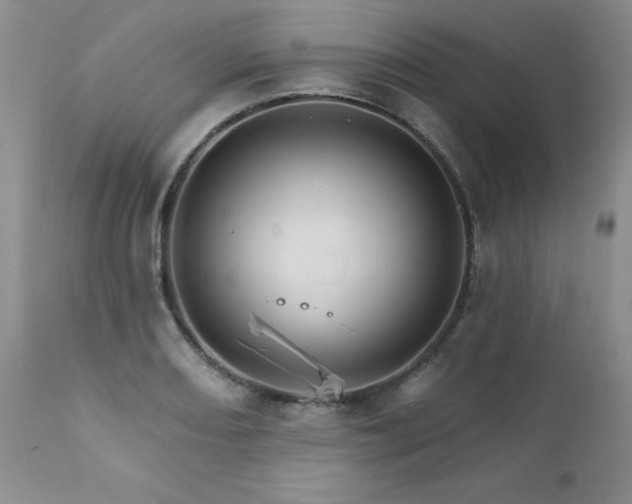 X0000111931082200907271307