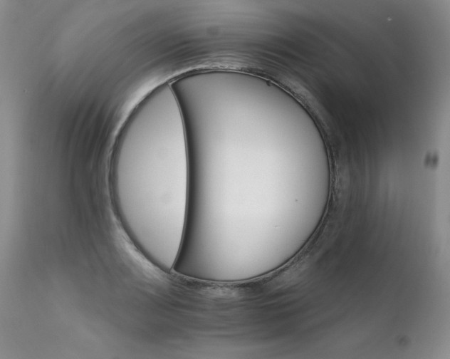 X0000111931083200907271307