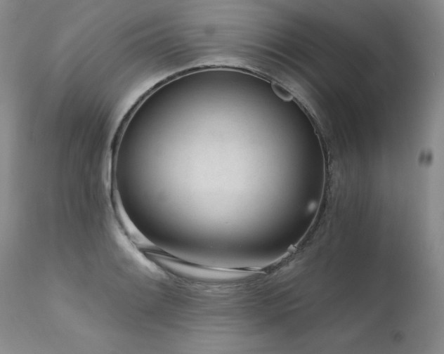 X0000111931084200907271307