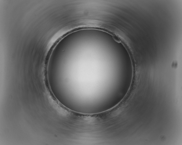 X0000111931085200907271307