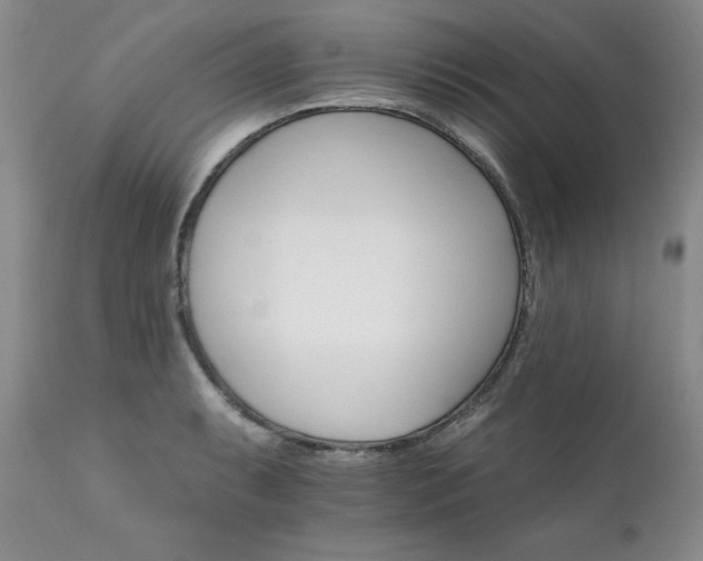 X0000111931087200907271307