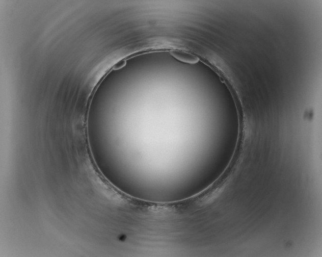 X0000111931089200907271307