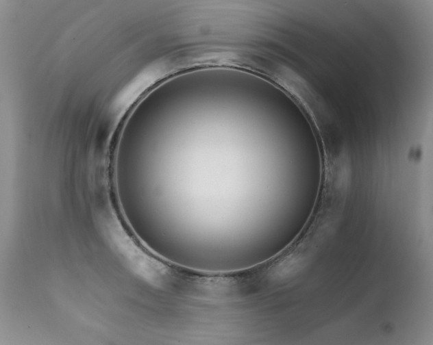 X0000111931090200907271307