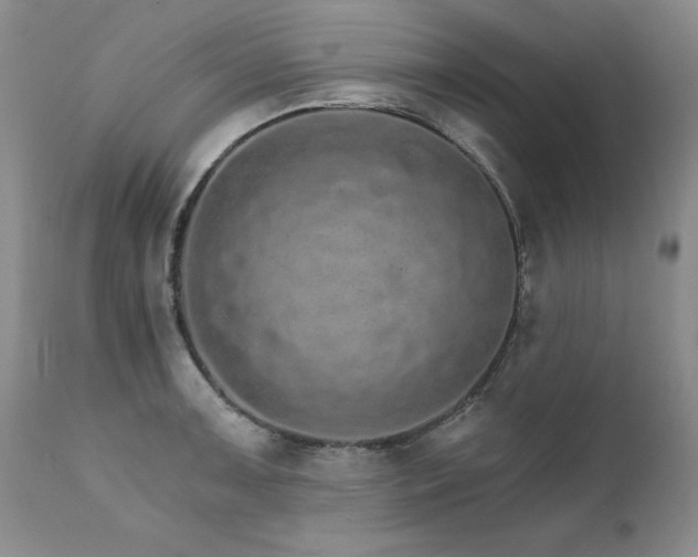 X0000111931091200907271307
