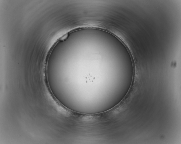 X0000111931093200907271307