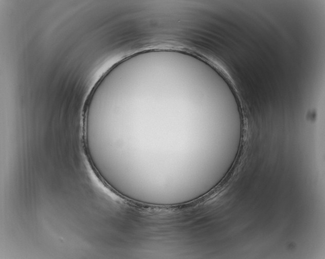 X0000111931095200907271307