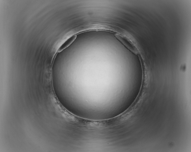 X0000111931097200907271307