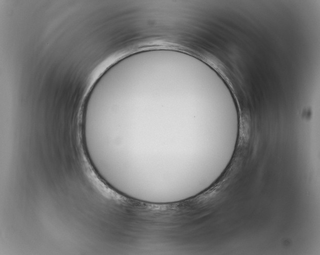 X0000111931098200907271307