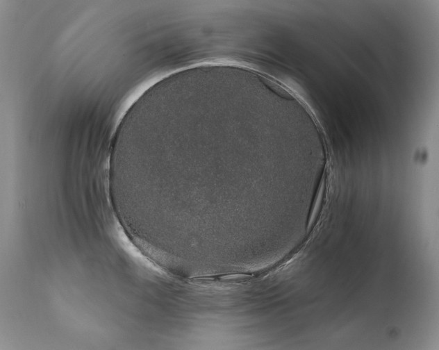 X0000111931100200907271307